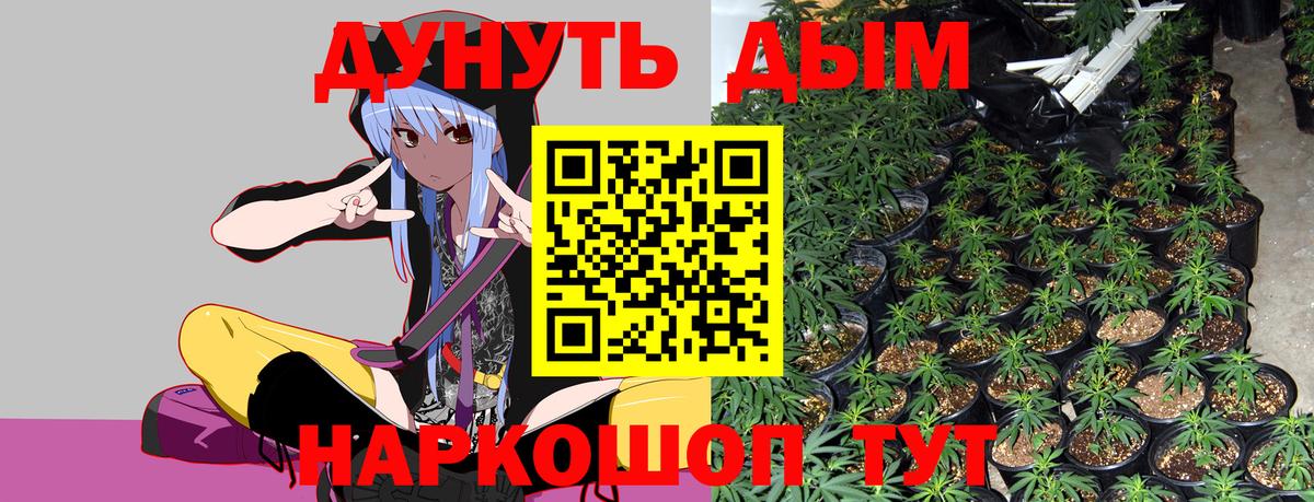 Бошки марихуана марихуана Минусинск